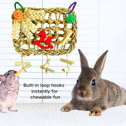 Rabbits Chew Toy, Bunny Cage Hanging Chew Toys and Treats