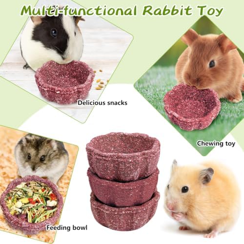 12 Pack Rabbit Chew Toys for Teeth Natural Guinea Pig Toys