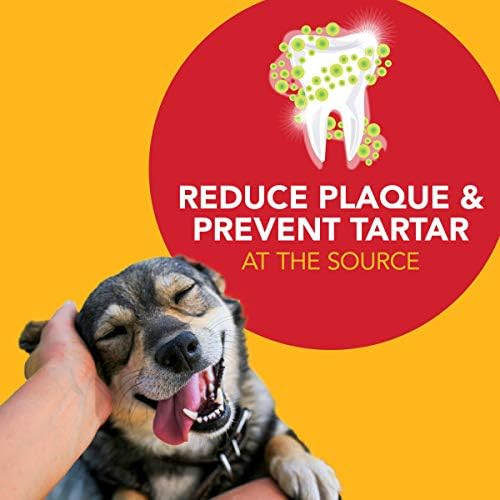 Petrodex Toothpaste for Dogs & Puppies, Cleans Teeth and Fights Bad Breath, Reduces Plaque and_Tartar Formation, Enzymatic Toothpaste, Peanut Flavor, 2.5oz (Pack of 2)