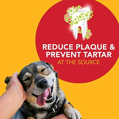 Petrodex Toothpaste for Dogs & Puppies, Cleans Teeth and Fights Bad Breath, Reduces Plaque and_Tartar Formation, Enzymatic Toothpaste, Peanut Flavor, 2.5oz (Pack of 2)