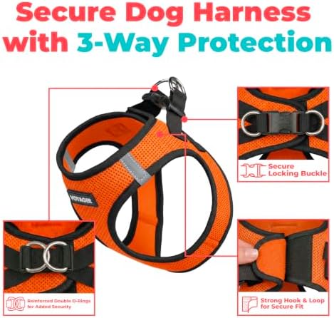 Best Pet Supplies Voyager Step-in Air Harness - All Weather Mesh, Reflective, No Pull Harness for Dogs, Cats - Secure with Hook & Loop Fastener, Buckle, Double D-Rings - Orange/Black Trim, XXS