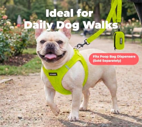 Best Pet Supplies Voyager Nylon Dog Leash - Lime Green, Medium