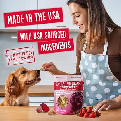 Charlee Bear Nuggets Strawbeary Swirl Skin & Coat Dog Treats, 6 oz