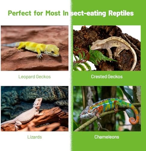 Gecko Food Insect Puree, Silkworm Paste Reptile Food Made with Fresh Insects