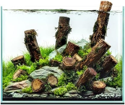 UNS Ultra Clear Rimless Tank - 5.8GAL | 22.1L - 14.17x8.66x11.02 | 36x22x28 CM, 5mm Glass Thickness, Leveling Mat Included - Low Iron, High Clarity Fish Tank w/ 45° Mitered Edge - [5T]