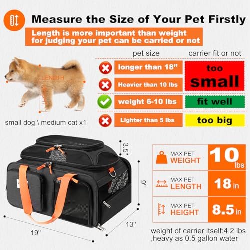 pidipiti 19x13x9 top Expandable pet Carrier, for Small Dog/cat up to 10 lbs