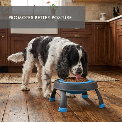 Dexas Pets Elevated Pet Feeder, Large, 4 Cup Capacity, Pro Blue, Raised Pet Food and Water Bowl