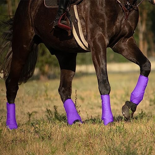 Harrison Howard Splint Boots for Horses 4 Pack, Front & Hind Horse Sport Boots with Neoprene Leg Protection