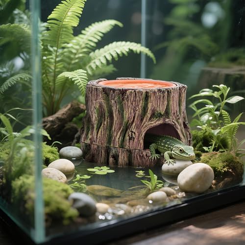 Reptile Hide Cave with Detachable Base, Humidity Dish