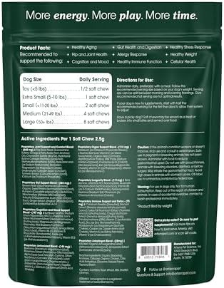 Arterra Longevity Multivitamin for Small Dogs - Vet-Formulated Mini Chews