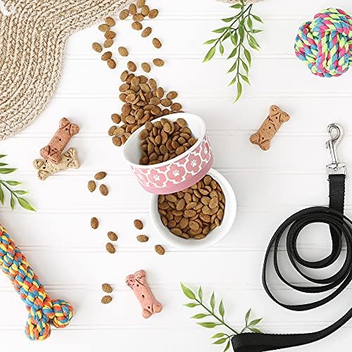 Bone Dry Lattice Collection Pet Bowl & Canister, Small Set, 4.25x2 inches, Rose, 2 Piece