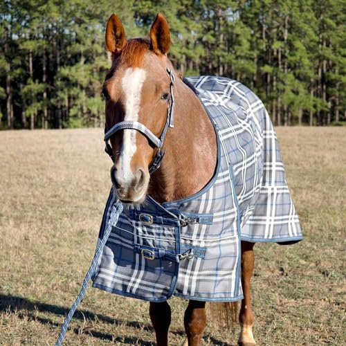 Jeffers Poplar Head Refuge 1200D, Hamilton Blue & Slate Plaid, 69" - Turnout Blanket, Waterproof, 240g Polyfill, Adjustable Chest, Belly Surcingles, Hind Leg Straps, Tail Flap, Horse Blanket