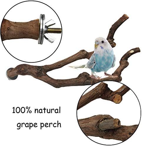 kathson Natural Parrot Perch Bird Stand Pole Wild Grape Stick Paw Grinding Fork Parakeet Climbing Standing Branches Toy Chewable Cage Accessories for Small Budgies Cockatiels Lovebirds 2PCS
