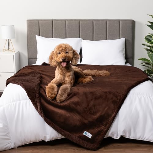 PetAmi Waterproof Dog Blanket for Large Dog Pet, 90x90 Queen, Brown Sherpa