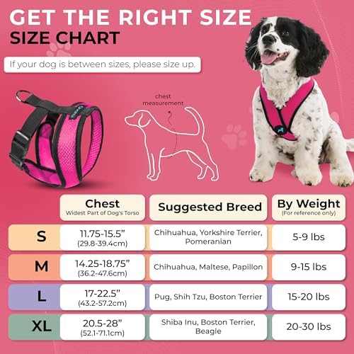Gooby Comfort X Head-in Dog Harness, Choke-Free, Flamingo Pink, Large
