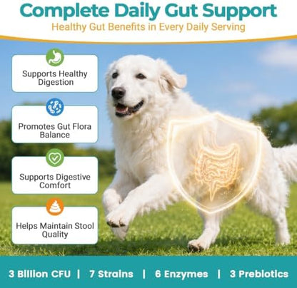 Probiotics for Dogs & Cats, 3 Billion CFU, 120 Soft Chews