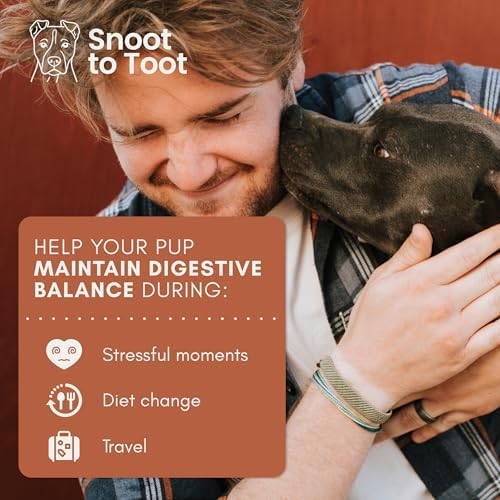 Dog Probiotics with Prebiotics, Digestive Enzymes, Pumpkin Fiber & Colostrum, Daily Gut Health Support for Diarrhea, Gas & Bloating, Six-Strain Probiotic Blend, 60 Beef Flavor Chews