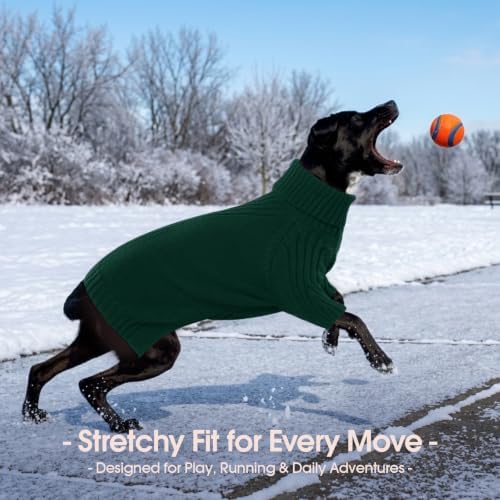 Turtleneck Dog Sweater, Thermal Knitted Sweater for Small Dogs (Green,M)