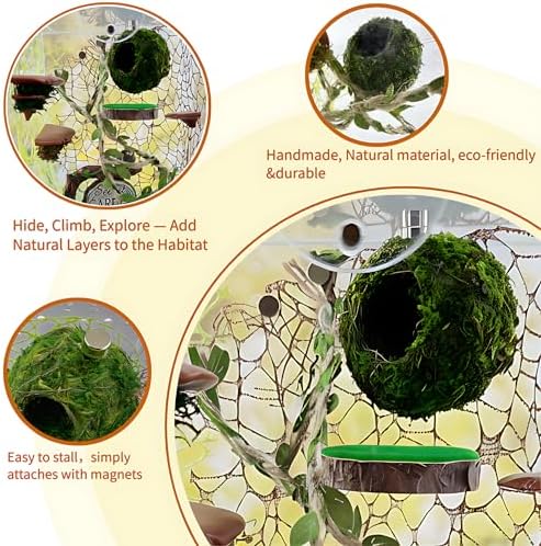 Jumping Spider Accessories - 2 Moss Hideouts & 2 Hemp Rope Bridges