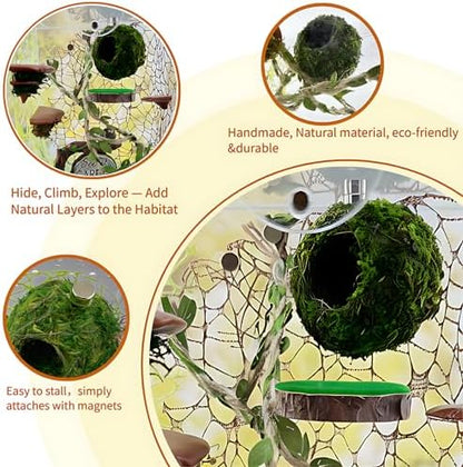Jumping Spider Accessories - Moss Hideout with Hemp Rope Bridge