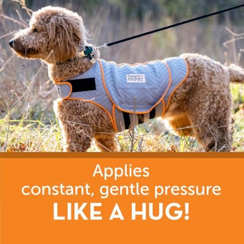 ThunderShirt for Dogs Calming Anxiety Vest, XX Large, Platinum Sport