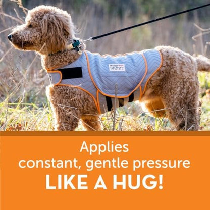 ThunderShirt for Dogs Calming Anxiety Vest, Medium, Platinum Sport