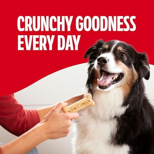 Milk-Bone Original Biscuits Large Dog Treats, 24 Oz.
