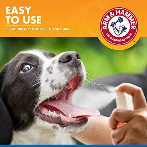 Arm & Hammer Tartar Control Dental Spray for Dogs, Mint, 4 Fl Oz