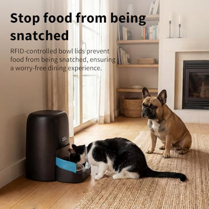 HoneyGuaridan RFID Automatic Cat Feeder,Collar Tag for Personalized Meal