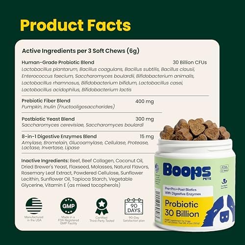 Probiotics for Dogs – 30 Billion CFU with Pre, Postbiotics & Digestive Enzymes – Supports Gut Health, Immunity, Loose Stools & Allergies – Filet Mignon Flavor – Vet Formulated – 60 Chews