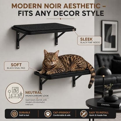 Cat Wall Shelves Set of 2, Black Solid Wood Window Perches with Sisal Mats