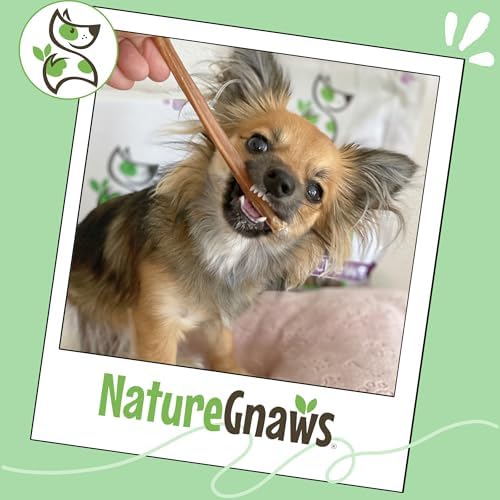 Nature Gnaws Large Bully Sticks 6" Rawhide Free Dog Chews, 3 Count