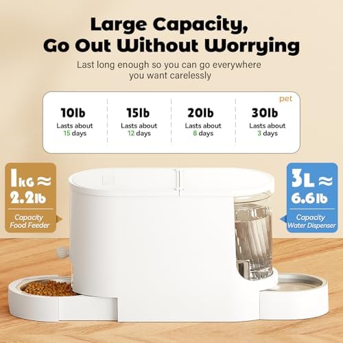 JUNSPOW Automatic Cat Feeder 2-in-1 Set with Stainless Steel Bowls