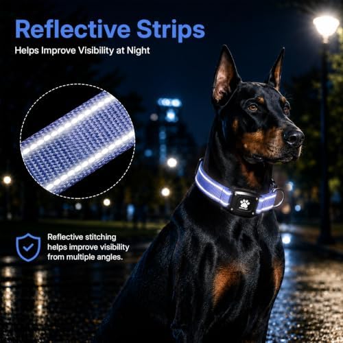 GPS Dog Collar with Tracker, Waterproof, No Monthly Fee, Blue, XS