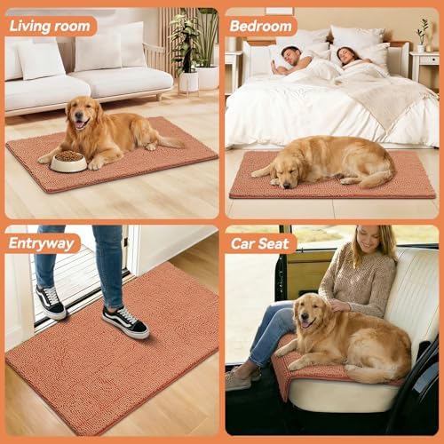 Bcoimo Super Absorbent Dog Door Mat, 48"*30" Anti Slip Mat for Muddy Paws