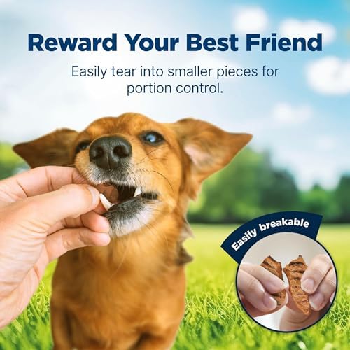 Blue Buffalo Nudges Grillers Chicken Dog Treats, 10 oz
