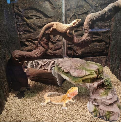 kathson Turtle Basking Platform Resin Bearded Dragon Hides and Caves with Ramp Reptile Resting Terrace Turtle Tank Decorations for Frogs,Tortoise,Lizard,Leopard,Crested Gecko