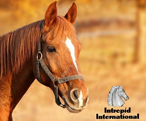 Click Horse Hock Shield, Horse Care Boots, Hock Shield for Horses w/ Fleece Lining, Prevents Hock Sores & Bed Sores, Tear Resistant Hock Protectors for Horses, Black w/ Green Trim