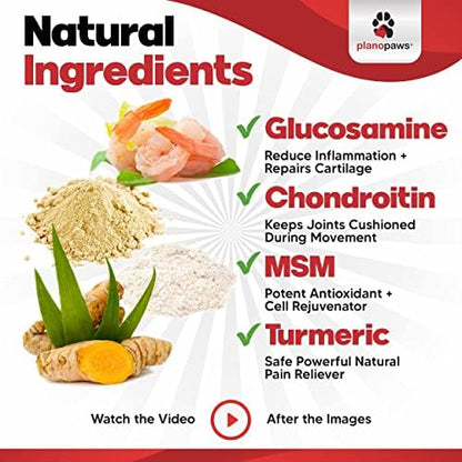 Glucosamine for Dogs Hip and Joint Supplement - Arthritis Support 120 Chews
