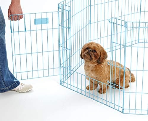 MidWest 24-Inch Blue Exercise Pen, Single Door, 16 Sq Ft Play Area