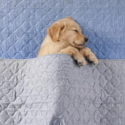 Cozy Bliss Deluxe Leakproof Cooling Blanket for Large Dogs Q-Max 0.5, Soft & Durable Washable Pet Cooling Mat for Hot Weather, Livingroom, Couch & Bed Protector for Cats, Silver Grey, 60"x80"