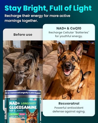 NAD+ Glucosamine for Dogs Hip and Joint Supplement-300 Soft Chews