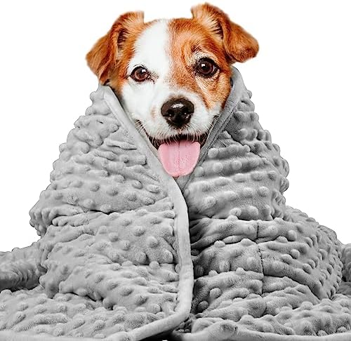 LaSyL Weighted Blanket for Pets | Thunder Blanket for Dogs Anxiety | Premium Soft Minky | Relaxation & Calming & Anti Anxiety | Used in Car, Bed, Couch | Dark Grey, Washable Large (40"x47")
