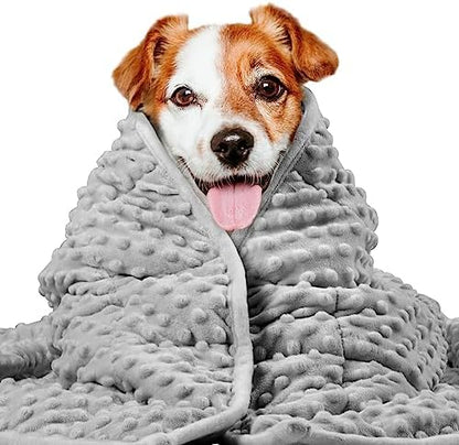 LaSyL Weighted Blanket for Pets | Thunder Blanket for Dogs Anxiety | Premium Soft Minky | Relaxation & Calming & Anti Anxiety | Used in Car, Bed, Couch | Dark Grey, Washable Large (40"x47")