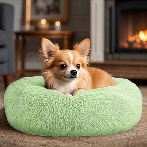 Hoewina Dog & Cat Bed, 20in Cat Beds for Indoor Cats (Green)