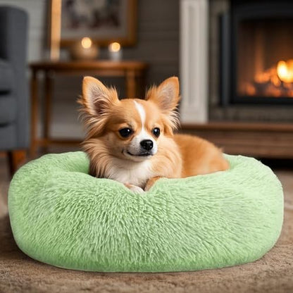 Hoewina Dog & Cat Bed, 20in Cat Beds for Indoor Cats (Green)