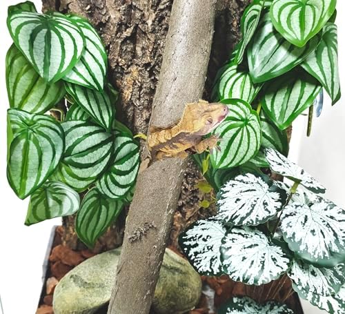 Woyrise Fake Reptile Plants for Terrarium,Tank Decor, Artificial Plant