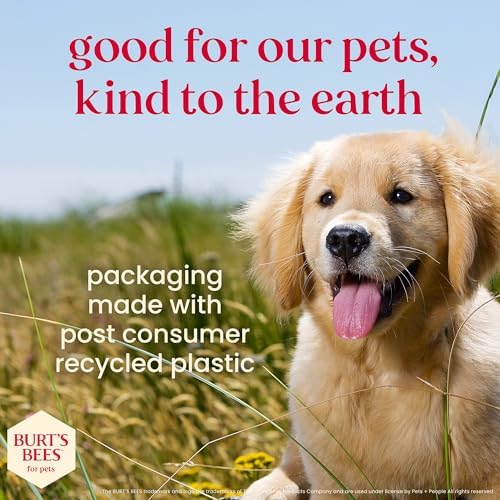 Burt's Bees Manuka Honey Ginger Dental Dog Treats, Peppermint, Large