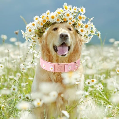 Spring Dog Collar, Cute Pink Daisy Femal Pet Collar with Metal Buckle, Durable Adjustable Designer Dog Collars for Small Medium Large Dogs S