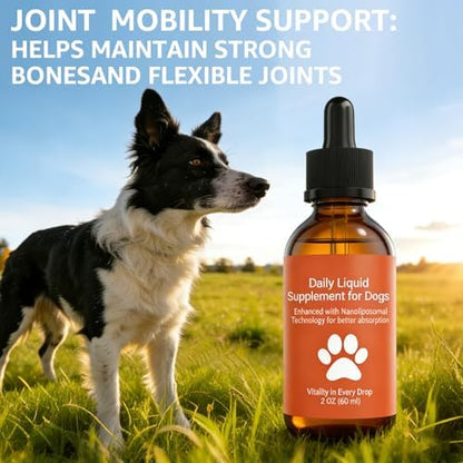 Dog Longevity Supplement NAD+ & NMN, Liposomal NAD Nicotinamide Riboside Resveratrol, Joint Health, Vitality & Healthy Aging, Easy to Give Every Day - Better Absorption, 60ML